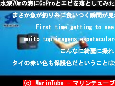 水深70mの海にGoProとエビを落としてみたら・・・ 【海老で鯛を釣る!?】 #1  (c) MarinTube - マリンチューブ